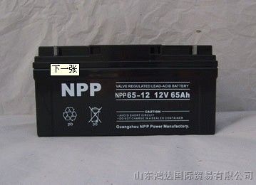 供应：耐普电池（合肥市）NPP112v-65ah蓄电池直销处