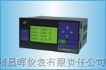 供应SWP-LCD-NL智能化*盗型流量积算控制仪