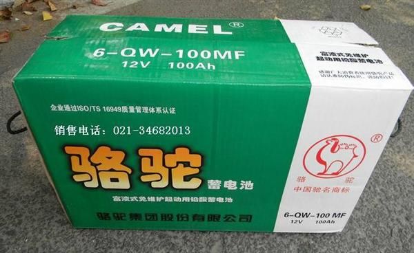 批发供应6-QW-100MF骆驼免维护12V100Ah<font color=red>铅酸</fon