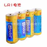 LR1100%LR1碱性电池 提供LR1干样品