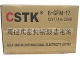 CSTK 12V17AH ups不间断电源 铅酸免维护蓄电池 山特蓄电池