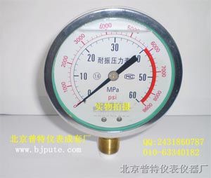 供应普特YTN100耐震压力表（双刻度表盘）