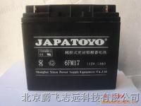 供应后备式铅酸免维护蓄电池6GFM50/东洋蓄电池12V50AH