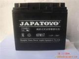 后备式铅酸免维护蓄电池6GFM50/东洋蓄电池12V50AH