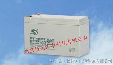 供应赛特蓄电池BT-6M4.5AC；6M7AC;12M7AC赛特电池总代理报价