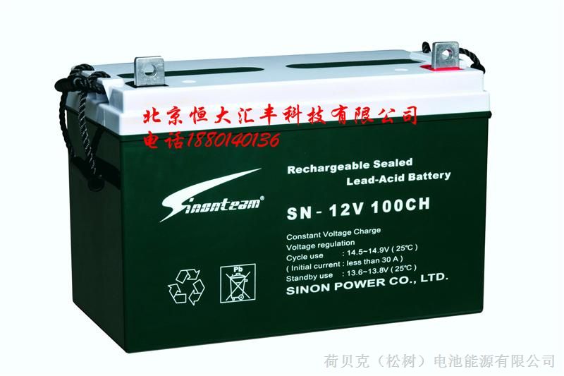 供应赛能蓄电池SN-12V65CH