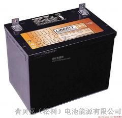 供应北京**蓄电池MPS12-65|LBT12-65报价
