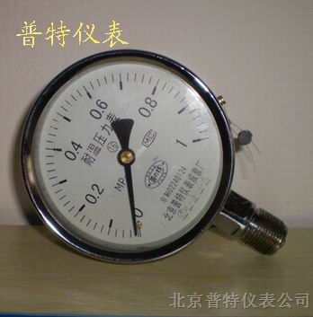 YTF-100不锈钢压力表 不锈钢耐腐蚀压力表 *