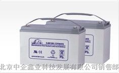 供应合肥理士蓄电池-淮北理士电池