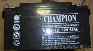 NP65-12蓄电池/12V65AH价格