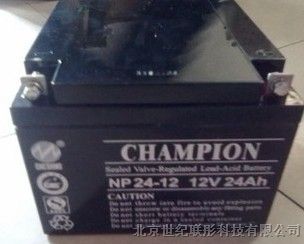 NP24-12蓄电池/12V24AH价格
