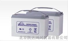 供应北京理士蓄电池/理士蓄电池价格表格