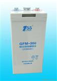 阀控式密封铅酸电池 GFM-300Ah