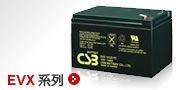 C*电池EVX系列技术参数
