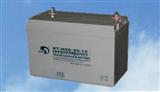  赛特蓄电池 12-100 铅酸免维护蓄电池