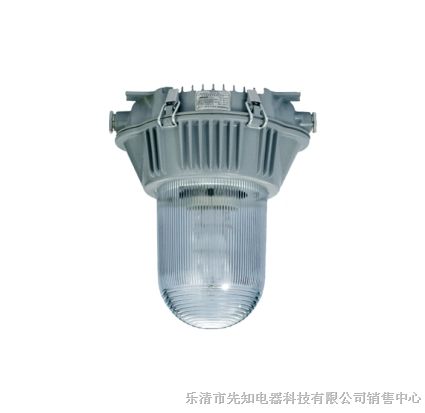 供应NFE9180*眩应急灯 NFE9180-J70泛光灯