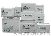 赛特蓄电池BT-HSE-38-12  12V38AH蓄电池​
