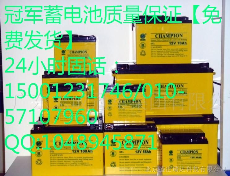 NP100B-12『CHAMPION』蓄电池价格