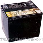 上海复华蓄电池(铅酸免维护）