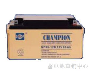 蓄电池12V65AH 蓄电池12V65AH代理报价