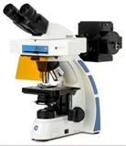 Ox3020型双目荧光显微镜