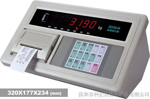 供应HT9800-A9P称重显示器，地磅仪表，带打印机的仪表