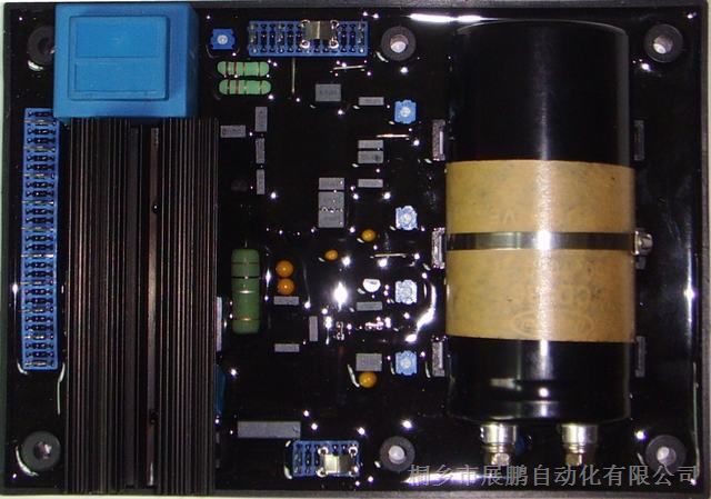 R449电压调节器 励磁调节器