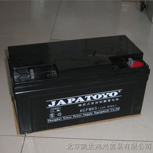 供应东洋蓄电池北京现货-含税运
