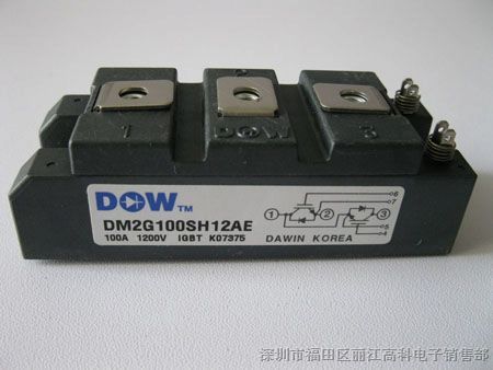 供应全新原装韩国DOW大卫IGBT模块DM2G100SH12AE