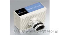 供应CCD成像仪LC3000系列模拟相机