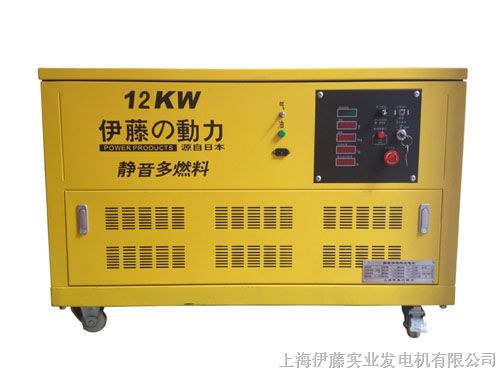 供应12KW汽油发电机组价格