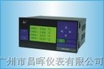 供应SWP-LCD-NL801-01-A-HL智能化*盗型流量/热能积算记录仪