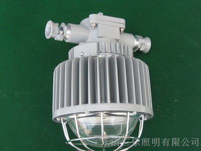 DGS50/127L(A)价格LED巷道灯