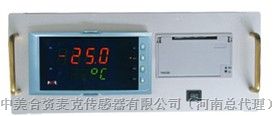 NHR-5921，八路测量显示控制仪，郑州海业仪表