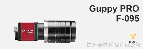 供应Guppy Pro F-095C工业相机