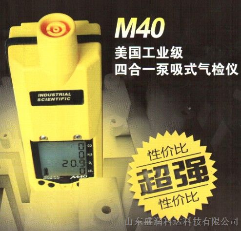 供应泵吸式测氧仪 （氧气检测仪）M40
