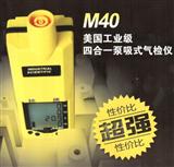 泵吸式测氧仪 （氧气检测仪）M40