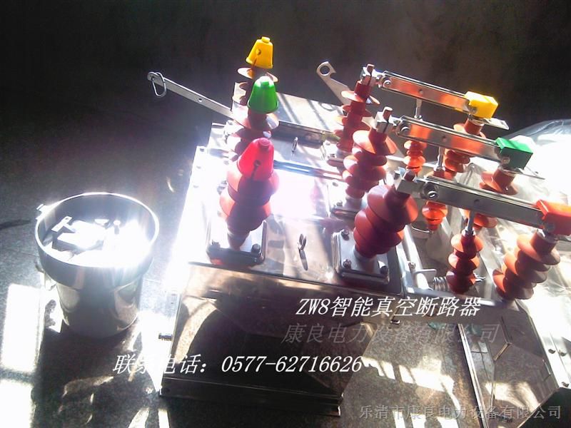供应10KV柱上高压真空断路器ZW8-12G/630A真空开关，ZW8(带隔离刀闸)