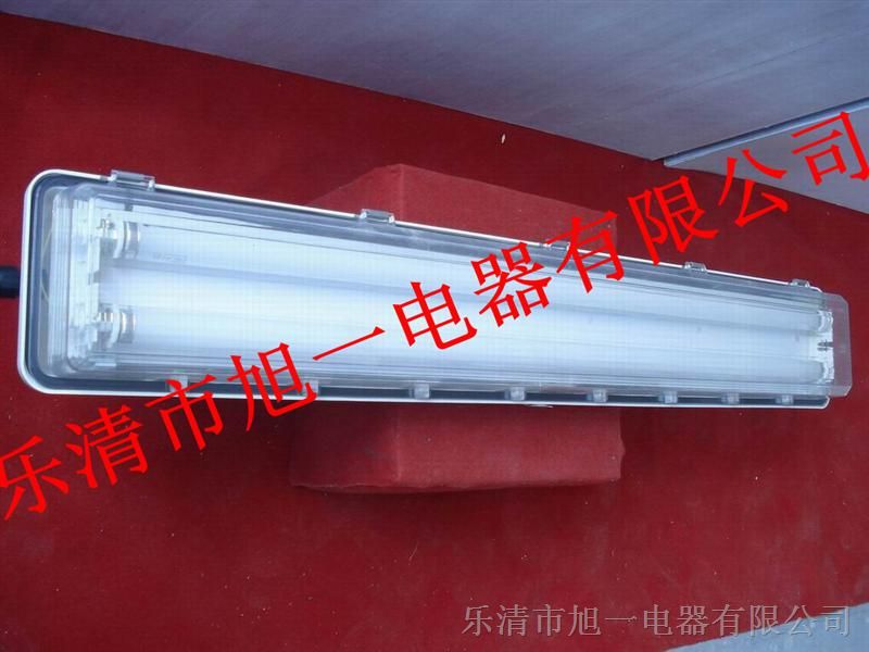 供应BYS*爆*腐全塑荧光灯