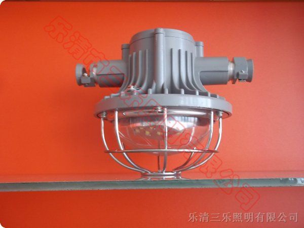 DGS20/127L(T) 隔爆型LED巷道灯