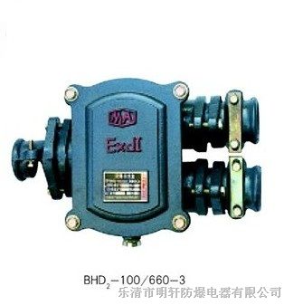 供应BHD2-100/3T*爆电缆接线盒