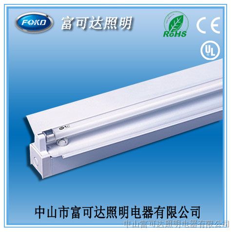 供应T514W21W28W喷白铁质带罩日光支架灯