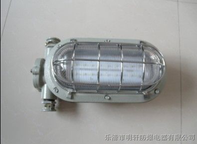 供应DGC16/127L隔爆型LED支架灯