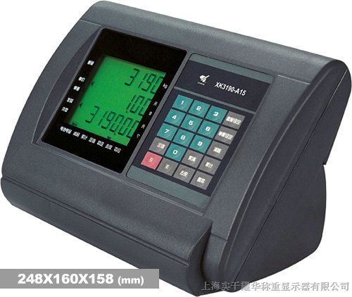 供应衡水市XK3190-C601耀华称重软件