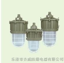 供应BAD81-80防爆紧凑型节能灯