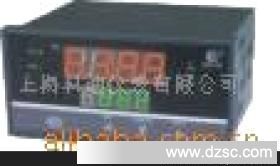 HR-WP-XD815自整定控制仪（外给定）