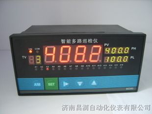 带打印功能的多路温度巡检仪( WP-RD806带打印巡检仪）8-16路  昌润仪表