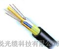 供应广州2芯光缆_2芯单模光缆单价