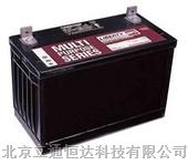 供应大力神蓄电池MPS12-100代理商
