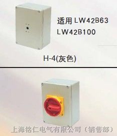 供应TAYEE天逸LW42B100-1016/B,100A盒安装凸轮开关、防水盒